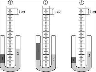 4. В U-образных трубках находятся две несмешивающиеся жидкости 1 и 2. На каком из приведённых рисунк
