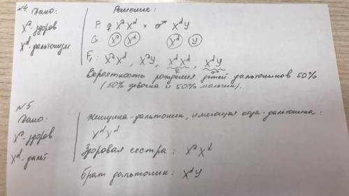 4. Женщина с полноценным зрением, имеющая родителей без нарушений зрения, выходит замуж за мужчину-д