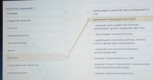 Строение органа зрения. Значение зрения. Нарушение зрения. Гигиена органа зрения. Лабораторная работ