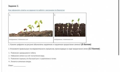 Задание 2. Как оформлять ответы на задания по работе с рисунками по биологии1. prorastanie-1Изображе