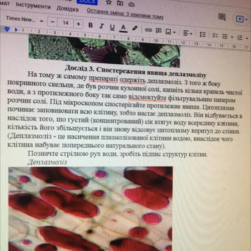 Дослід явища дeплазмолізу На тому ж самому препараті одержіть дeплазмоліз. З того ж боку покривного 