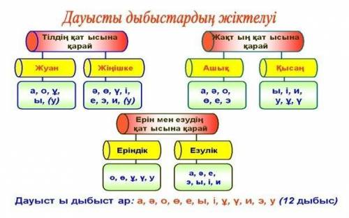 2. Қай дауысты дыбыс жіңішке, ашық, езулік: А) ұ Ә) Ү Б) І В) Ә