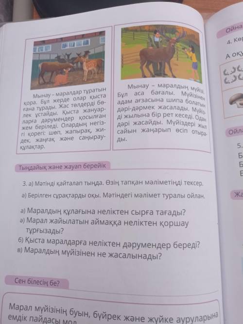 3. а) Мәтінді қайталап тыңда. Өзін таақан мәліметіңді тексер. ә) Берілген сұрақтарды оқып. Мәтіндегі