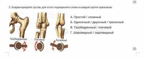 Охарактеризуйте сустав, для этого подчеркните слова в каждой группе признаков: