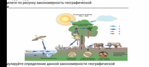 . Географическая оболочка целостная и непрерывная оболочка Земли, где все сферы проникают друг в дру