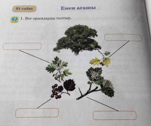 Емен ағашы 91-сабақ 1. Бос орындарды толтыр.
