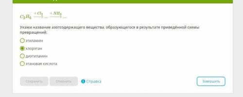 Укажи название азотсодержащего вещества, образующегося в результате приведённой схемы превращений: