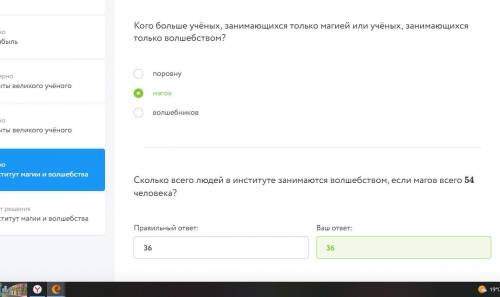 Каждый учёный в институте магии и волшебства занимается хотя бы одним направлением: магией или волше